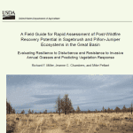 Rapid Assessment field guide cover
